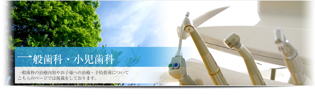 ��ʎ��ȁE��������