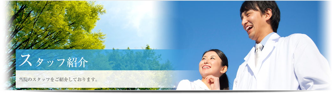 �X�^�b�t�Љ�